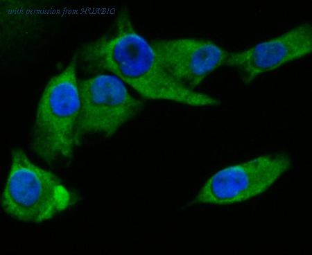 HUABIO ET7109-82 image 3