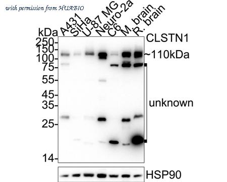 HUABIO ET7109-84 image 1