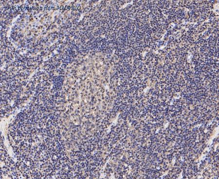 HUABIO ET7109-87 image 3