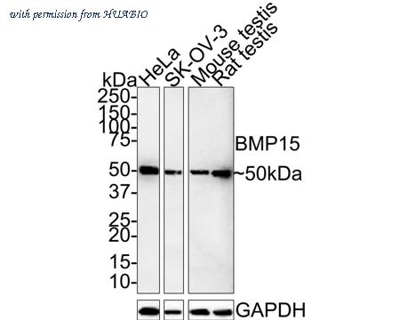 HUABIO ET7110-03 image 1