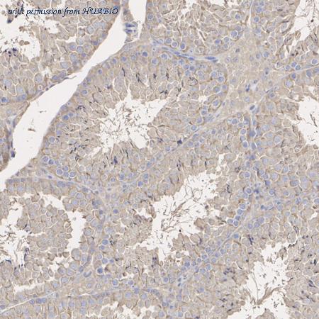 HUABIO ET7110-03 image 3