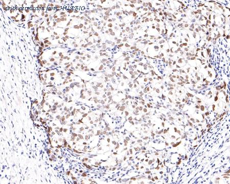 HUABIO ET7110-08 image 3