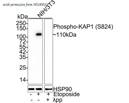 HUABIO ET7110-11 image 3