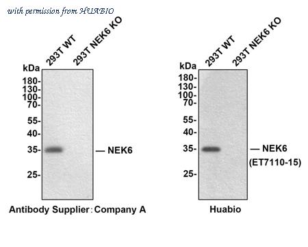HUABIO ET7110-15 image 2