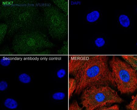 HUABIO ET7110-16 image 2