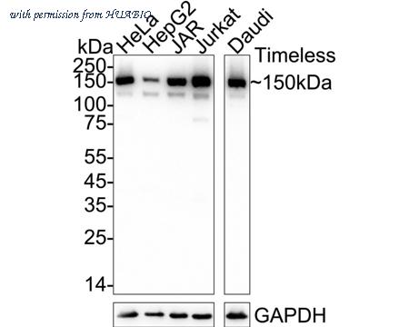 HUABIO ET7110-23 image 1