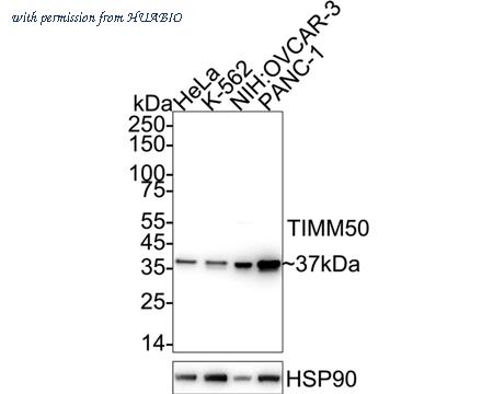 HUABIO ET7110-24 image 1