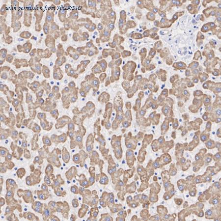 HUABIO ET7110-24 image 3