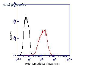 HUABIO ET7110-34 image 2