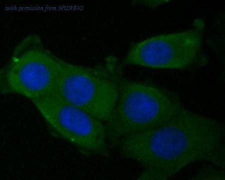 HUABIO ET7110-36 image 2