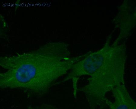 HUABIO ET7110-36 image 3