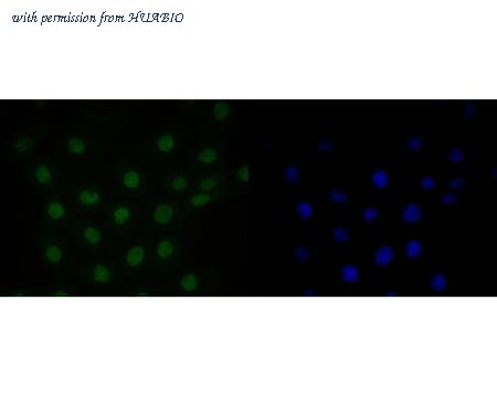 HUABIO ET7110-38 image 2