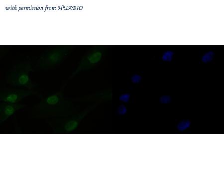 HUABIO ET7110-38 image 3