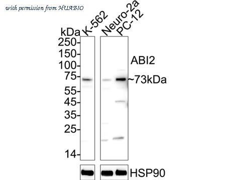 HUABIO ET7110-42 image 1