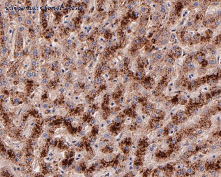 HUABIO ET7110-46 image 3