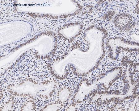 HUABIO ET7110-57-50UL image 3