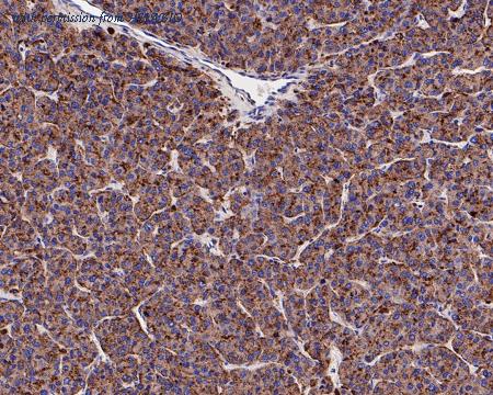 HUABIO ET7110-58 image 3