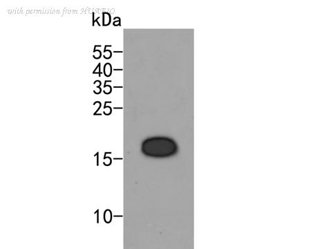 HUABIO HA500001 image 1