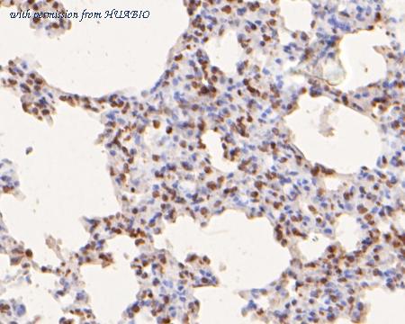 HUABIO HA500001 image 2