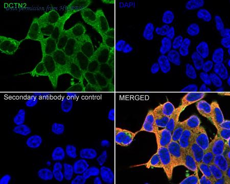 HUABIO HA500029 image 2