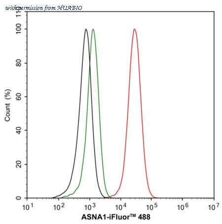 HUABIO HA500051 image 3