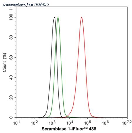 HUABIO HA500063 image 3