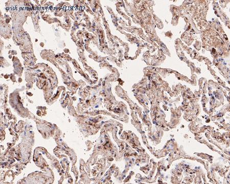 HUABIO HA500090 image 3