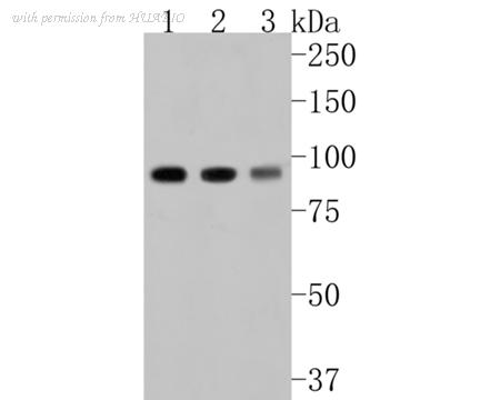 HUABIO HA500132 image 1