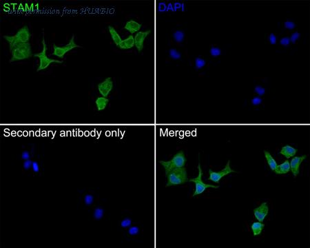 HUABIO HA500166 image 3
