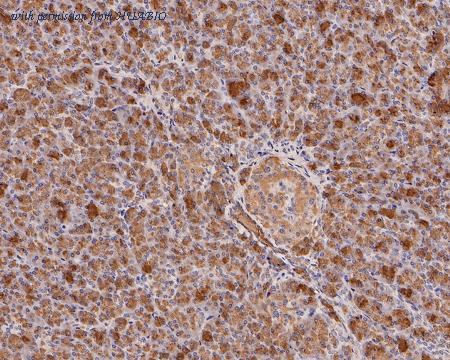 HUABIO HA500182 image 3