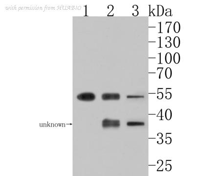 HUABIO HA500200 image 1