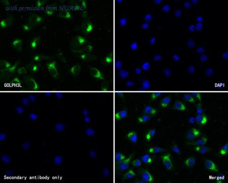 HUABIO HA500205 image 3