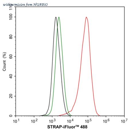 HUABIO HA500221 image 3