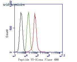 HUABIO HA500250 image 3