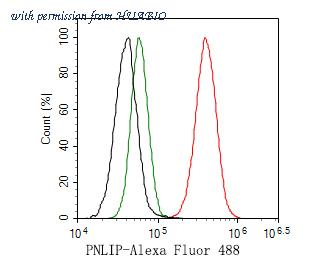 HUABIO HA500257 image 3