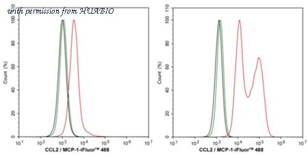 HUABIO HA500267 image 3