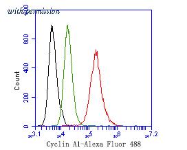 HUABIO HA500287 image 2