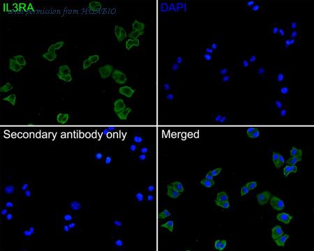 HUABIO HA500291 image 2