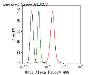HUABIO HA500296 image 3
