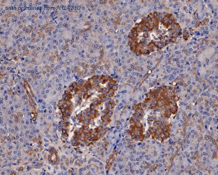 HUABIO HA500301 image 2