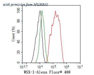 HUABIO HA500324 image 3