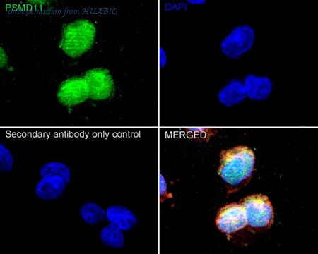 HUABIO HA500414 image 2