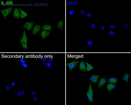 HUABIO HA500438 image 2