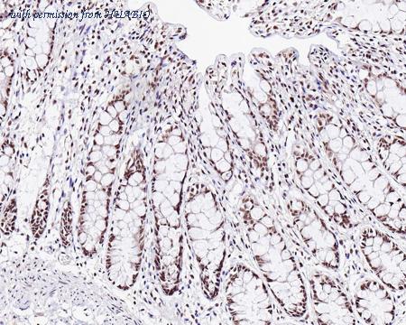 HUABIO HA500525 image 3