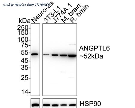 HUABIO HA500551 image 1