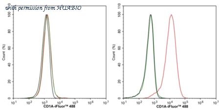 HUABIO HA600031 image 2