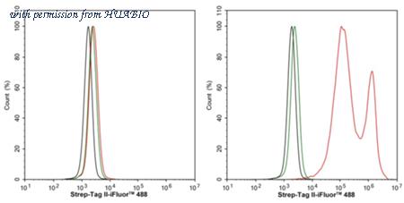 HUABIO HA600038-50UL image 3