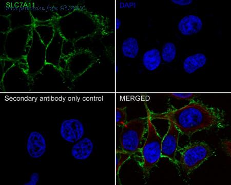 HUABIO HA600098-50UL image 2