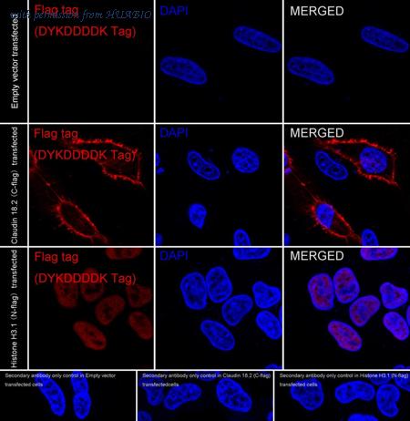 HUABIO HA600138F image 1