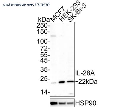 HUABIO HA601027 image 1